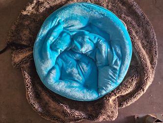 Light blue Saucer Chair  with Faux Fur Exterior