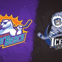 Solar Bears‼️