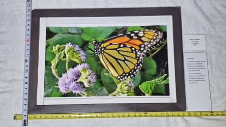 "Final Feast" Framed Art