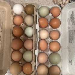 Organic Free Ranch Eggs 