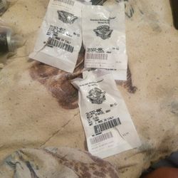 Harley Davidson RELAYS