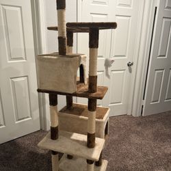 Cat Tree