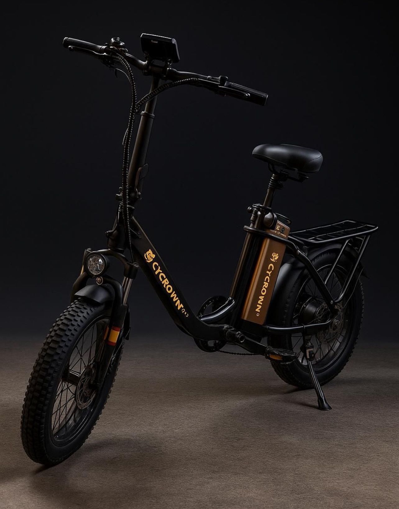Electric Bike 