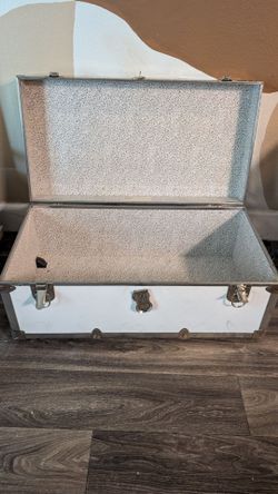 Wheeled Trunk