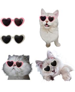 Pet Cat Dog Doll Sunglasses, Kitty Funny Props Eyeglasses