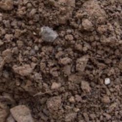 FREE CLEAN DIRT!! I’LL DELIVER RIGHT NOW!! 