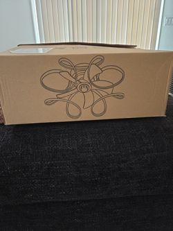 Ceiling Fan in Box