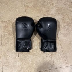 sanabul boxing gloves 