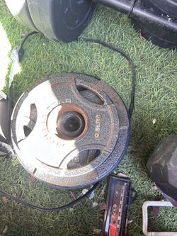 Weight. Pound For $1