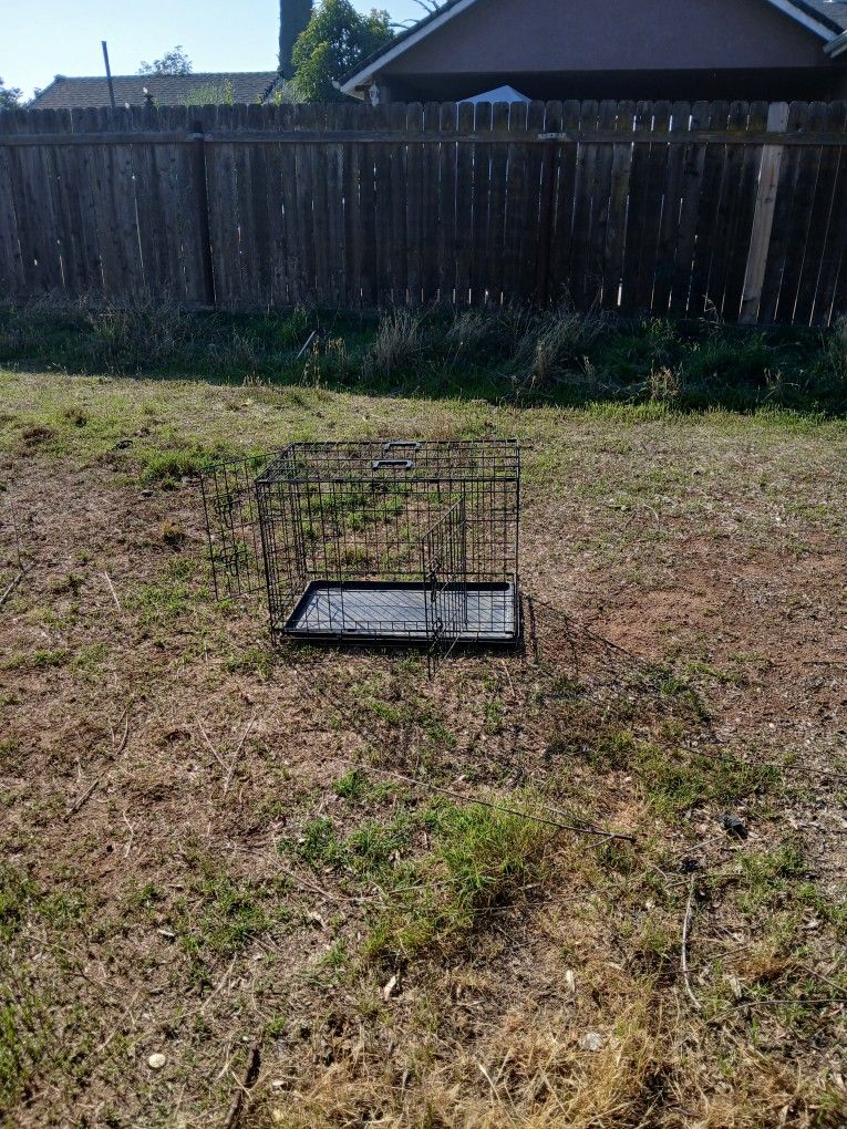 Dog Kennel