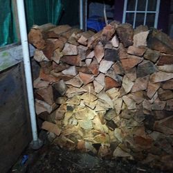 Deal of the day (Fir) firewood