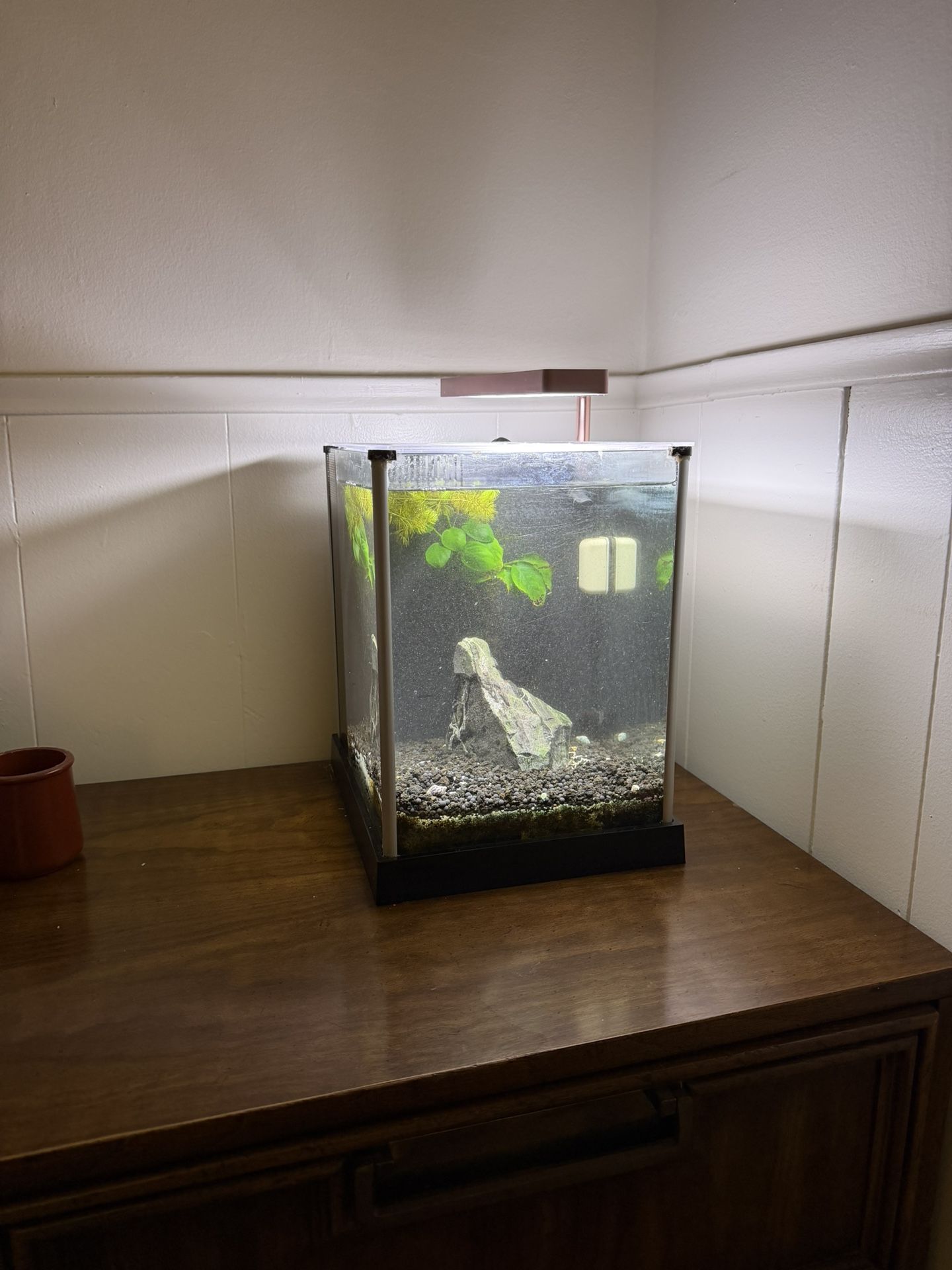 NANO 2.5 Gallon Fish tank Complete Setup ONF Flat Nano Light