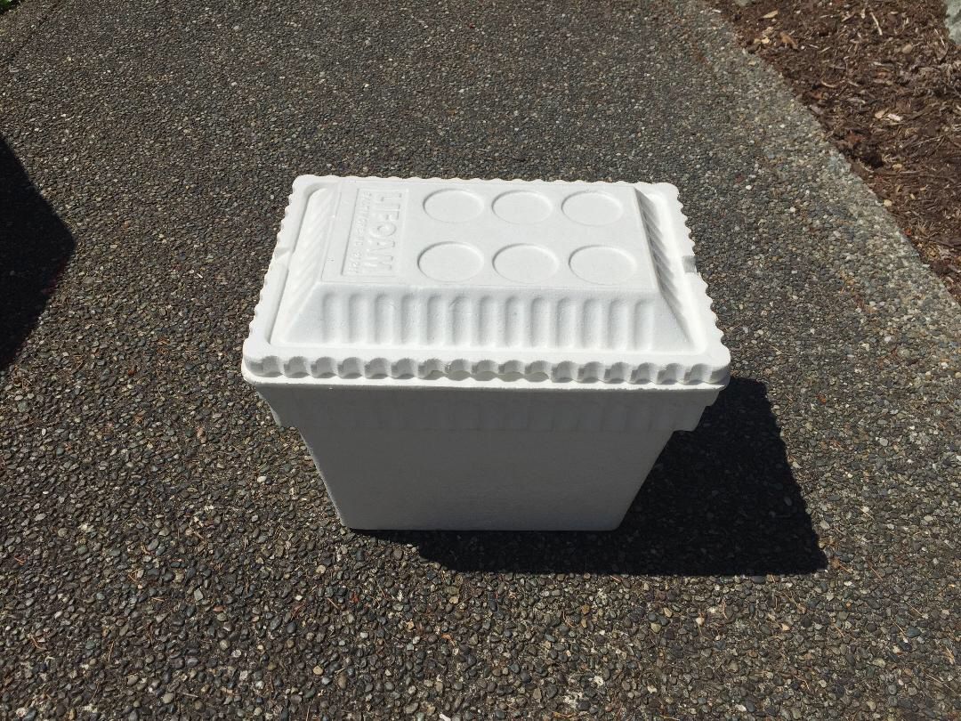 **FREE** (2) Styrofoam Ice chest/Cooler