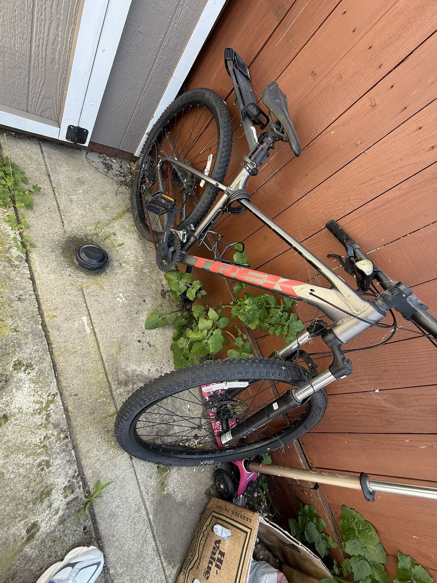 Trek Bike