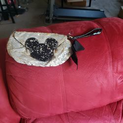 Disney Purse With Free Gift Inside! 