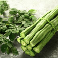 Moringa For Sale