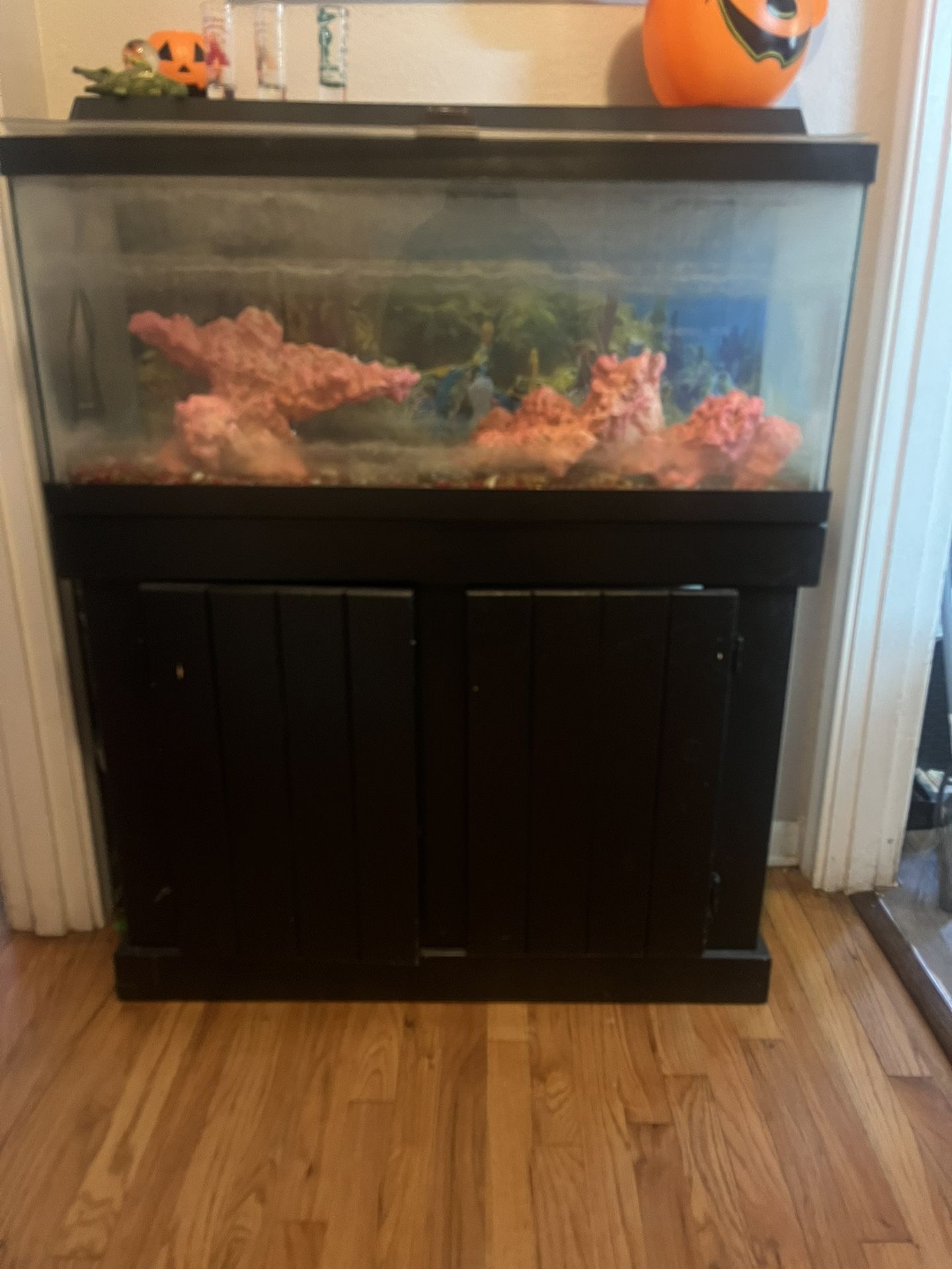 Fish Tank 