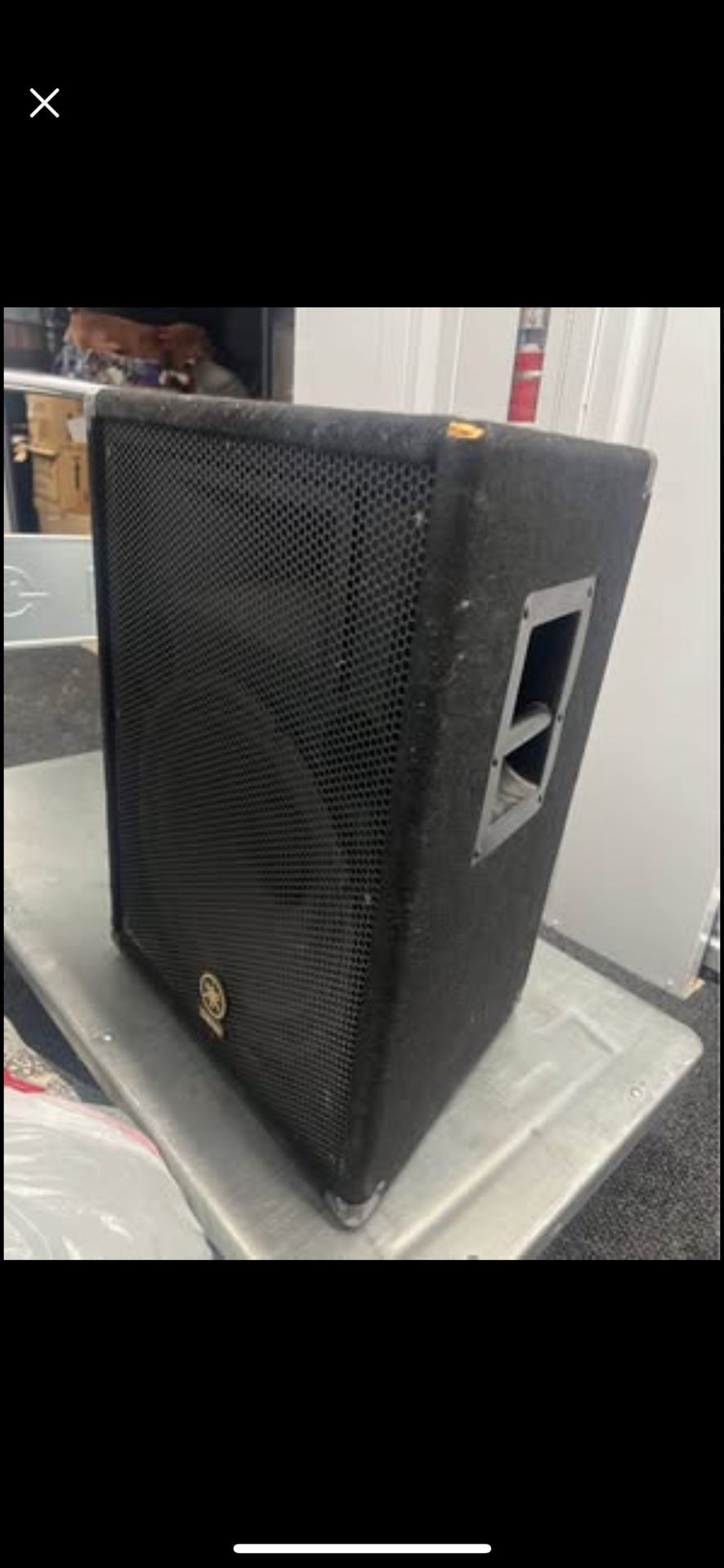 Yamaha PA Speaker
