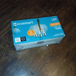 3-pack of EcoSmart 60-Watt equivalent G25 LED light bulbs. 