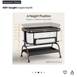 3-1 Baby Bond Bassinet