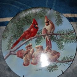 Collectors Plate