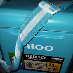 Small Ice Chest With Strep