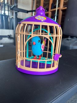 For real pet parrot