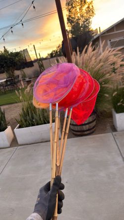 Butterfly catcher