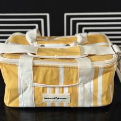 Business and Pleasure Collapsible Insulated cooler/lunchbox 