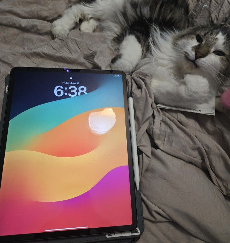 IPad ProMax With Apple Pen