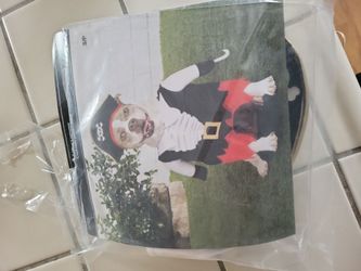 Small dog pirate costume
