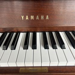 Yamaha P22 Upright Acoustic Piano