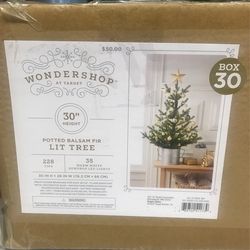 Potted Balsam Fir Lit Tree