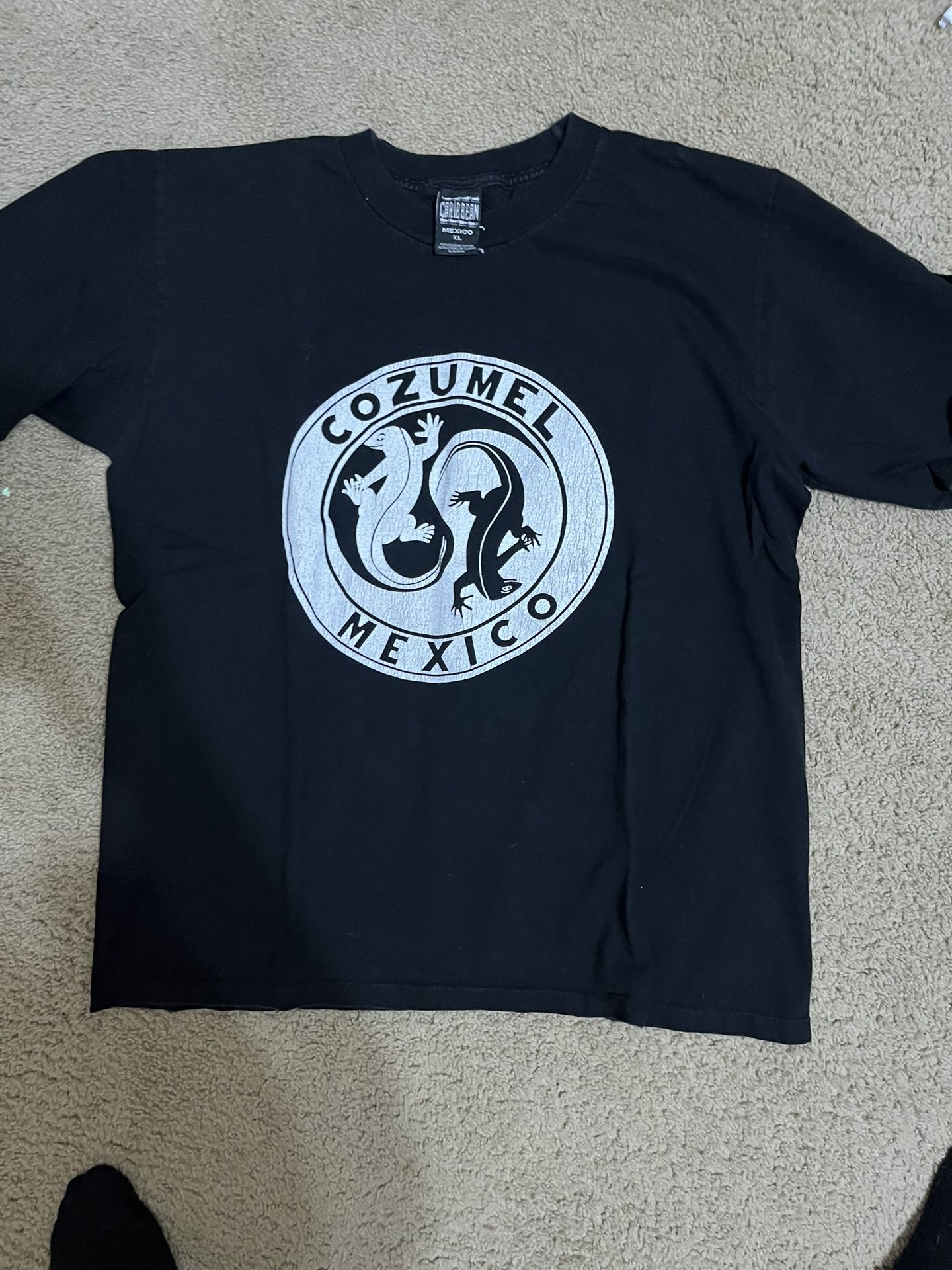 Single Stitch Grafic Tee Shirt