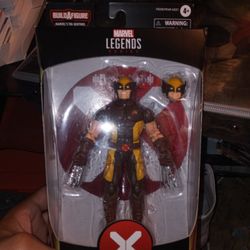 Wolverine