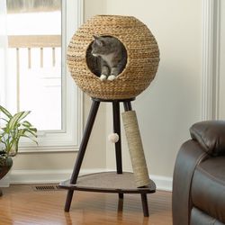 Super Cool Cat Sphere with Scratcher and Toy