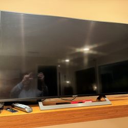 Sony Large Flat Screen TV 48”