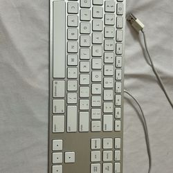 Apple usb wired keyboard 100%
