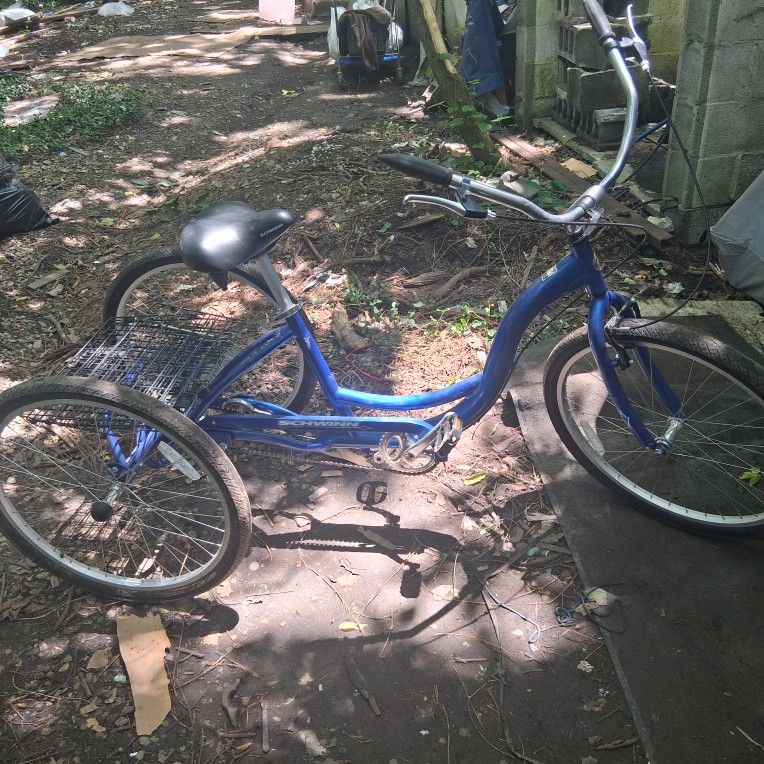 3 Wheel Bike