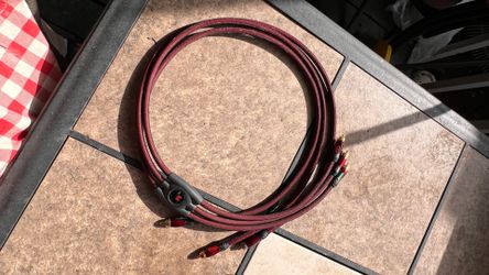 4” monster rca cable