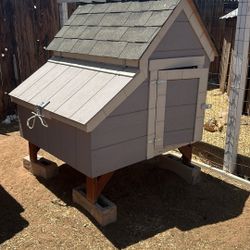 Chicken Lay Box