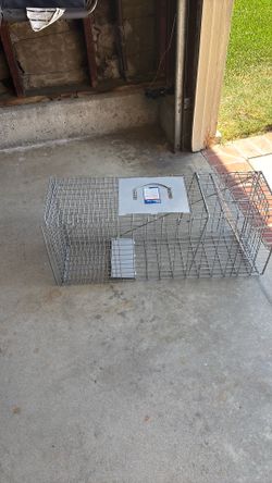 Animal Trap