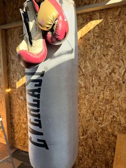 Punching bag