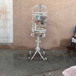 White Cage