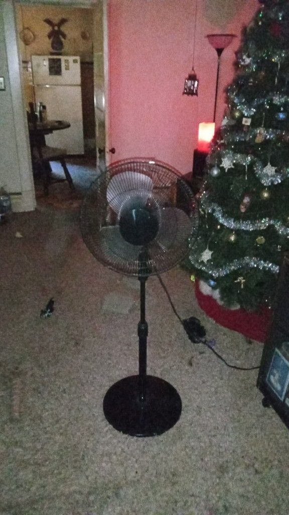 3 Speed Fan