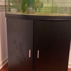 Aquarium