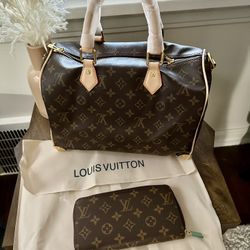 LV Purse And Wallet 