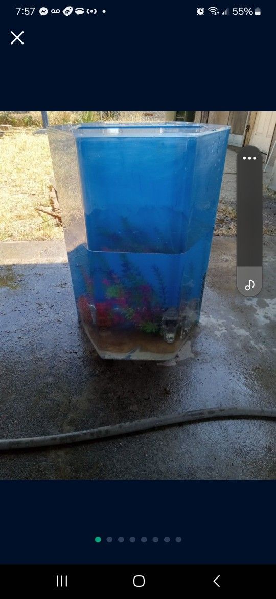 Fish Tank