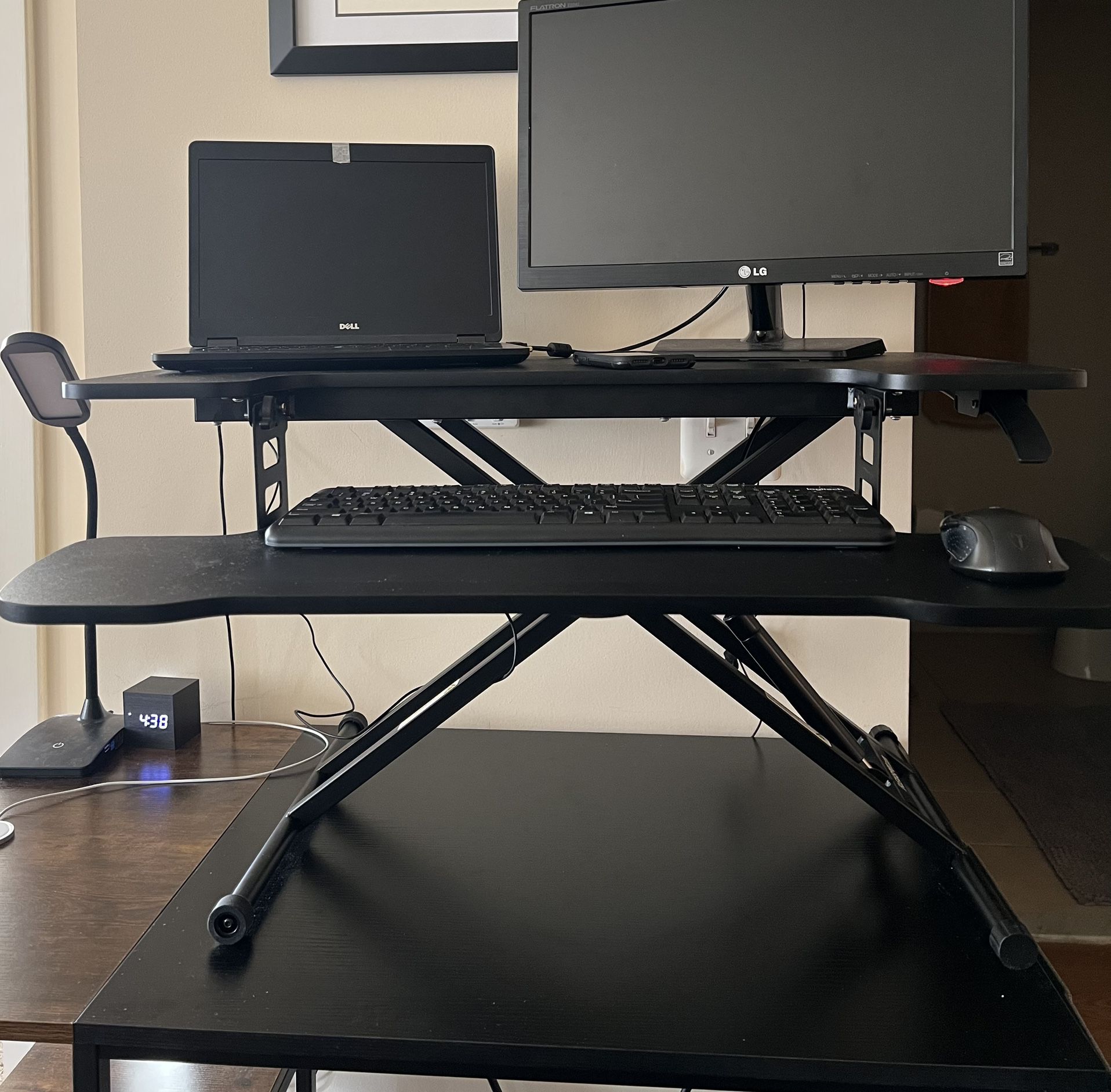 Standing Desk Converter (Flexispot)