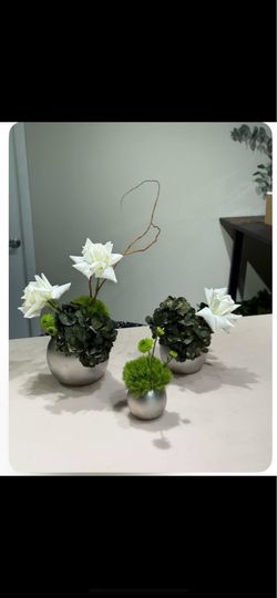 Ceramic Vases